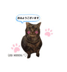 キキ＆マロンの1日（個別スタンプ：1）