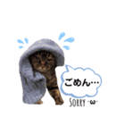キキ＆マロンの1日（個別スタンプ：5）