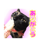 まるをとあん子（個別スタンプ：1）
