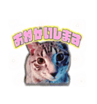 まるをとあん子（個別スタンプ：2）