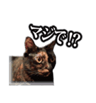 まるをとあん子（個別スタンプ：3）