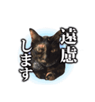 まるをとあん子（個別スタンプ：5）
