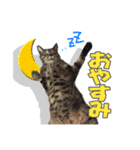 まるをとあん子（個別スタンプ：6）