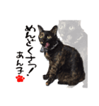 まるをとあん子（個別スタンプ：7）