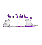 フェレットやで〜(関西弁)（個別スタンプ：20）