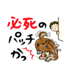 讃岐のお母ちゃん2（個別スタンプ：36）