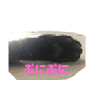 猫のチーちゃんスタンプ（個別スタンプ：3）