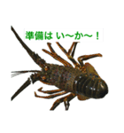 晴れたら行こう！（個別スタンプ：1）