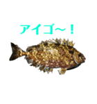 晴れたら行こう！（個別スタンプ：3）