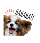 わんぱくさすけ3（個別スタンプ：1）