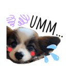 わんぱくさすけ3（個別スタンプ：4）