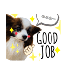 わんぱくさすけ3（個別スタンプ：9）