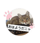 条くんの日常。（個別スタンプ：28）
