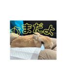 いおのstamp（個別スタンプ：4）