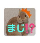 いおのstamp（個別スタンプ：5）