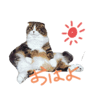 ナタデココのスタンプ（個別スタンプ：1）