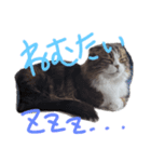 ナタデココのスタンプ（個別スタンプ：2）