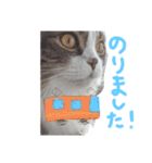 ナタデココのスタンプ（個別スタンプ：6）