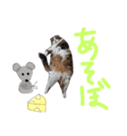 ナタデココのスタンプ（個別スタンプ：7）