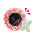 白柴ハッピー（個別スタンプ：4）