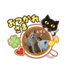 白柴ハッピー（個別スタンプ：8）