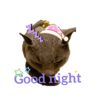 Poochin（個別スタンプ：7）
