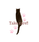 Poochin（個別スタンプ：8）