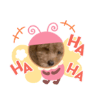 可愛くてキュートな犬のスタンプ（個別スタンプ：7）