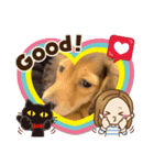 可愛くてキュートな犬のスタンプ（個別スタンプ：8）