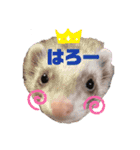 石橋家用スタンプ（個別スタンプ：10）