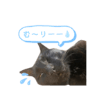 まめらむね（個別スタンプ：2）