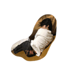 しーちゃーーん！！（個別スタンプ：5）