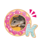 ハムスターくん（個別スタンプ：1）