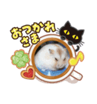 ハムスターくん（個別スタンプ：7）