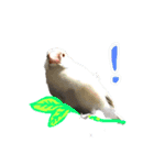 北方すたんぷ（個別スタンプ：1）