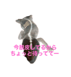 ニシアフのルビィちゃん（個別スタンプ：9）
