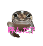 ニシアフのルビィちゃん（個別スタンプ：12）