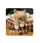 ななこななこ1（個別スタンプ：25）