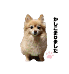 ななこななこ1（個別スタンプ：27）
