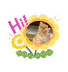ななこななこ1（個別スタンプ：33）