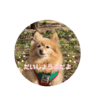 ななこななこ1（個別スタンプ：40）