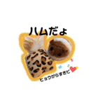 ベンガルキャットのロサ＆セラ♡（個別スタンプ：40）
