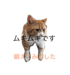 もありんの猫スタンプ（個別スタンプ：2）