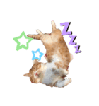 もありんの猫スタンプ（個別スタンプ：4）