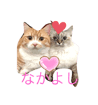 もありんの猫スタンプ（個別スタンプ：5）