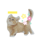 もありんの猫スタンプ（個別スタンプ：6）