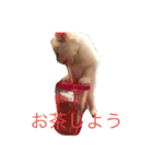 もありんの猫スタンプ（個別スタンプ：8）