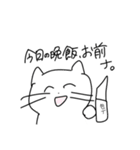使いやすいしろねこちゃん（個別スタンプ：23）