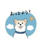 犬のジェットくん（個別スタンプ：1）