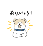 犬のジェットくん（個別スタンプ：4）